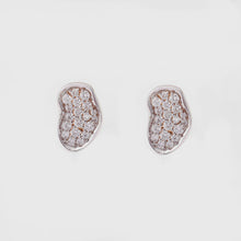 Load image into Gallery viewer, 20 Years in Business™ Diamond Stud Earrings
